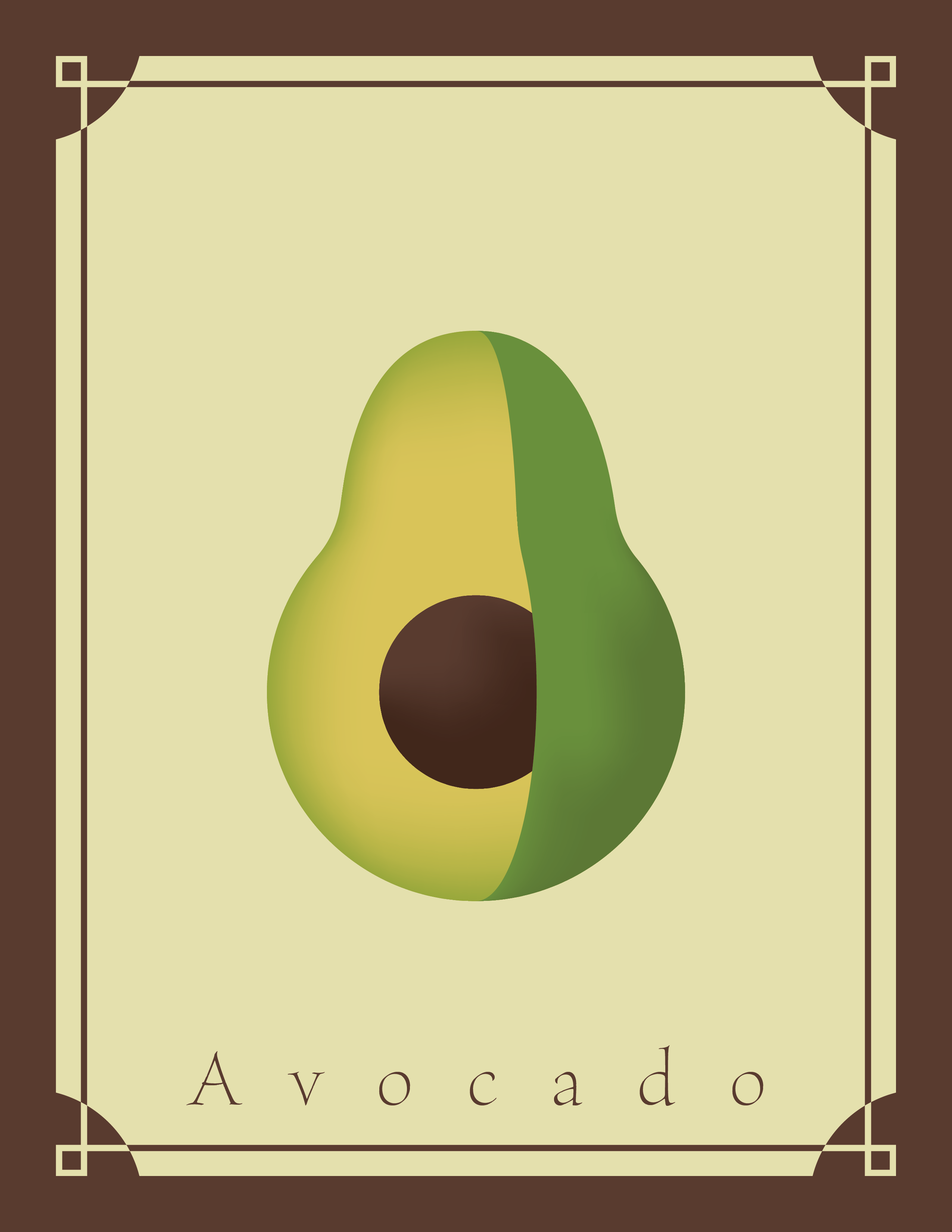 Cross Sections - Avocado