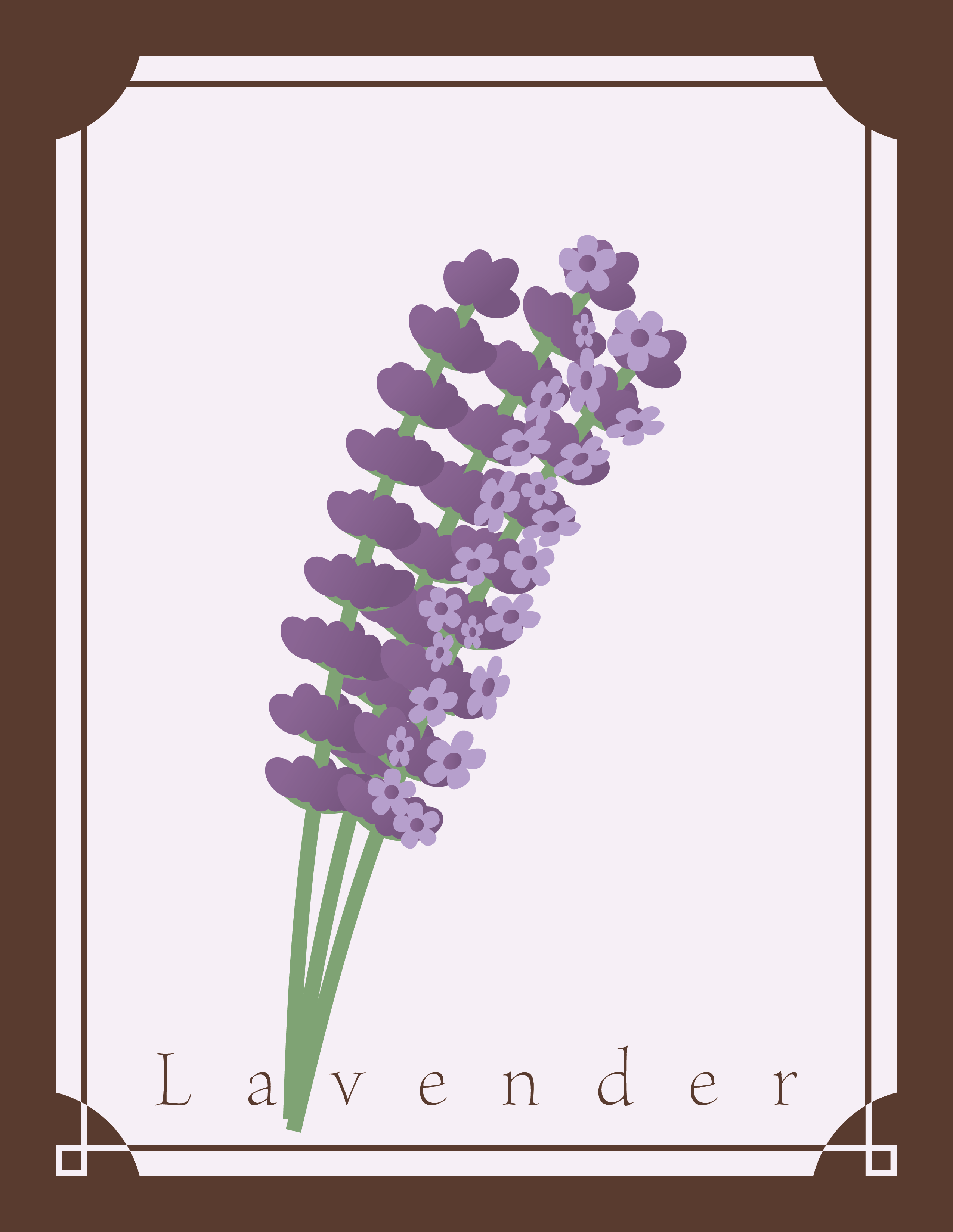 Cross Sections - Lavender